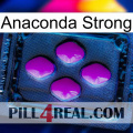 Anaconda Strong 04